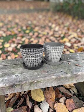 Set of 2 Terracotta Succulent Garden Planting Pots